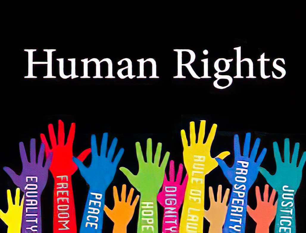 Human rights values